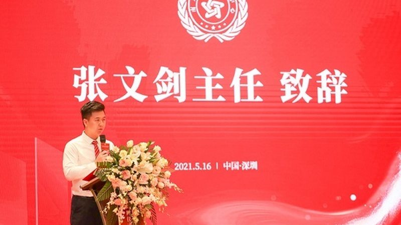 新手如何撰写品牌策划方案：模板与关键要素